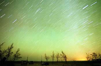 Leonid meteors over Jordan